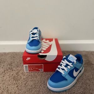 Nike Dunk Low Retro 12c